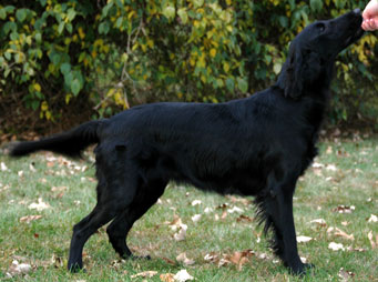 CH Kistryl Acadia