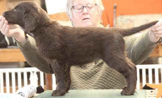 Kistryl MSU Spartans